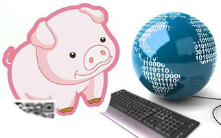 互联网新闻与行情专题 爱猪网创新互联网销售模式